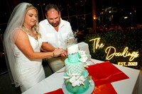 wedding photography sarasota