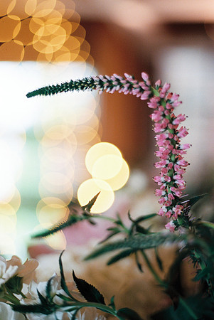 Film