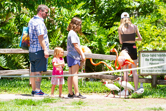 The Young Family at Jungle Gardens in Sarasota, FL on Mother's Day 2022.