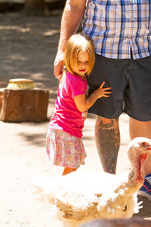 The Young Family at Jungle Gardens in Sarasota, FL on Mother's Day 2022.