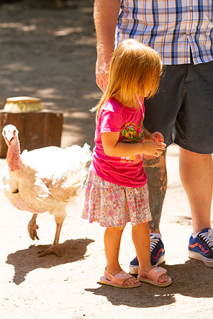 The Young Family at Jungle Gardens in Sarasota, FL on Mother's Day 2022.